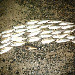 たのしかった！の巻